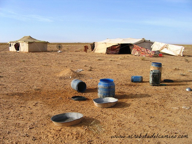 carpa beduina