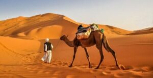 es seguro viajar a marruecos