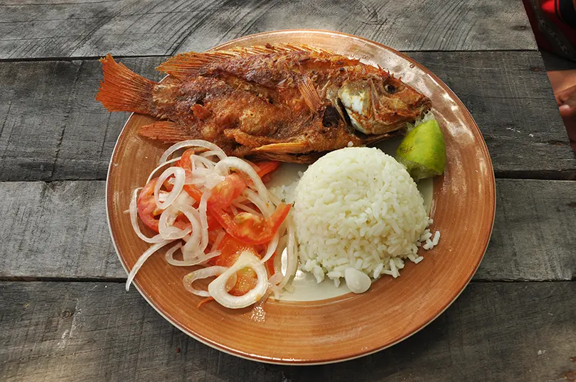 pescado del caribe