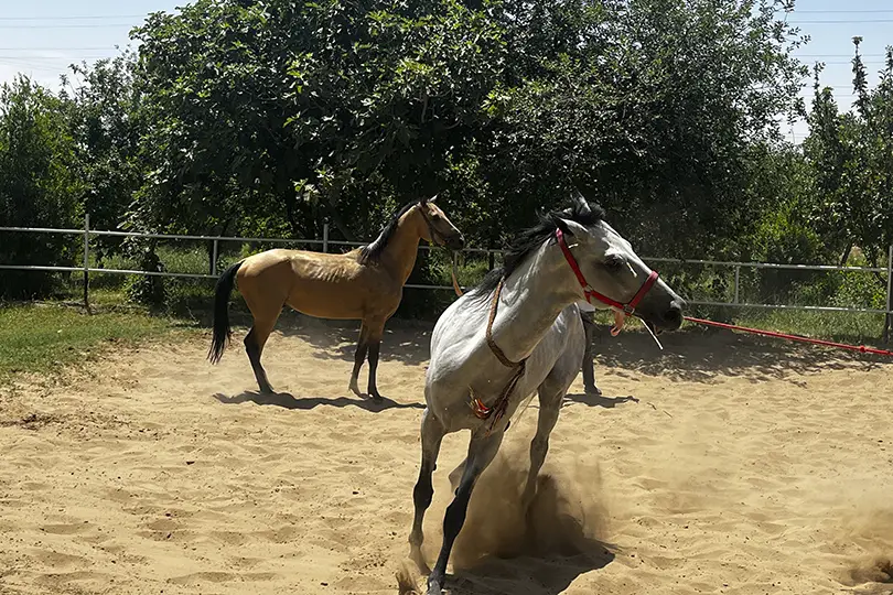 atractivos turkmenistan