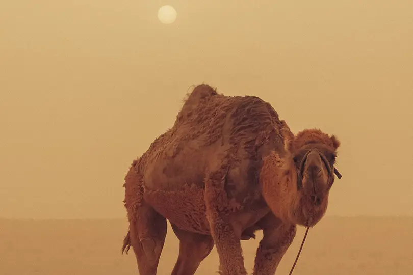 mejores destinos en turkmenistan