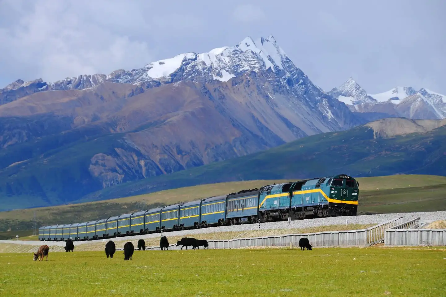 tren tibet